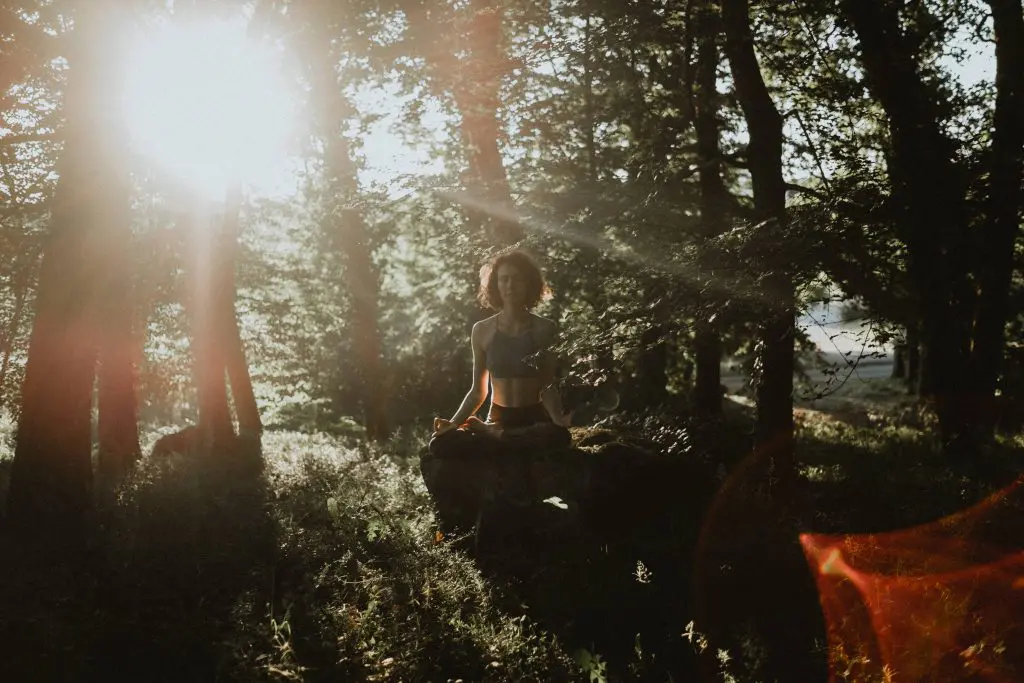 Méditation dans les bois